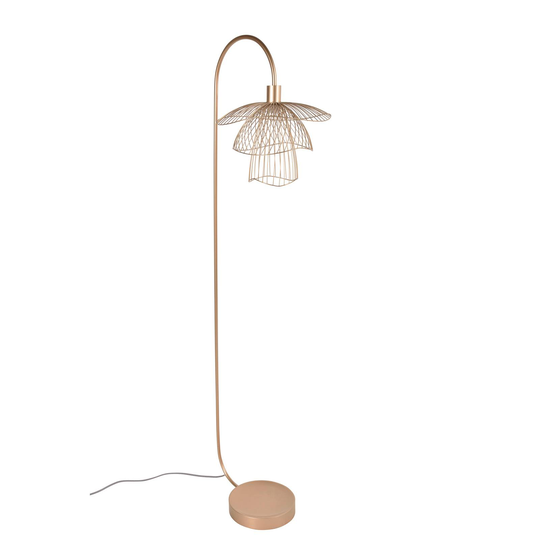 Forestier Papillon XS -lattiavalaisin, samppanja
