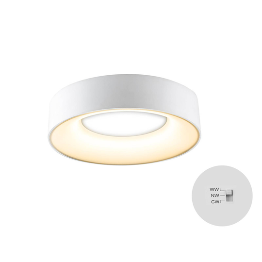 LED-kattovalaisin Sauro, Ø 30 cm, valkoinen