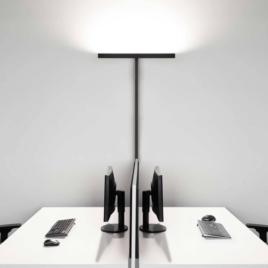 Molto Luce Concept Double F -lattiavalo, valkoinen