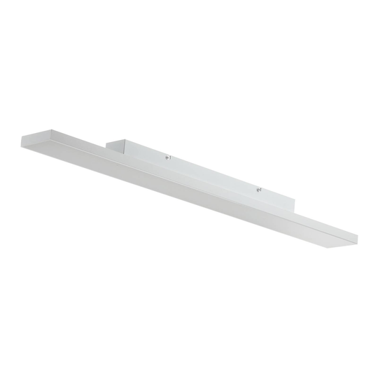 Paul Neuhaus Frameless kattovalaisin CCT 100x10cm